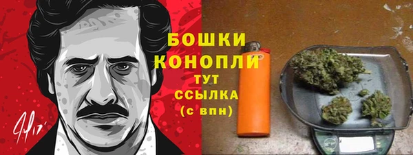эйфоретик Пересвет