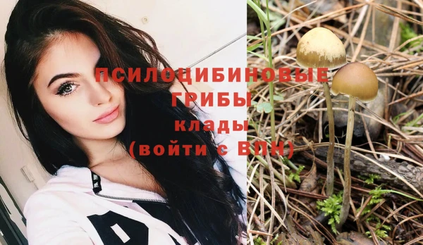 гидра Абдулино