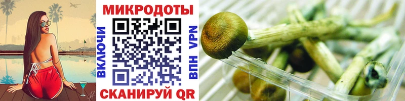 как найти закладки Симферополь Галлюциногенные грибы мицелий